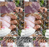 Evenement foto: 2741