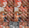 Evenement foto: 2724