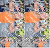 Evenement foto: 2723
