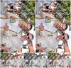Evenement foto: 2723