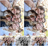 Evenement foto: 2722