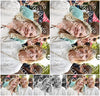 Evenement foto: 2722
