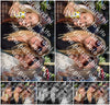 Evenement foto: 2722