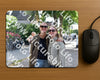Evenement foto: 2720