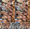 Evenement foto: 2844