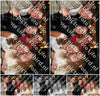 Evenement foto: 2844