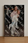 Evenement foto: 2843