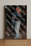 Evenement foto: 2843