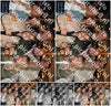 Evenement foto: 2842