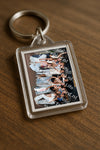 Evenement foto: 2841