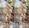 Evenement foto: 2829