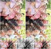 Evenement foto: 2829