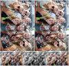 Evenement foto: 2811