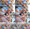 Evenement foto: 2811