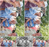 Evenement foto: 2811