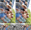 Evenement foto: 2811
