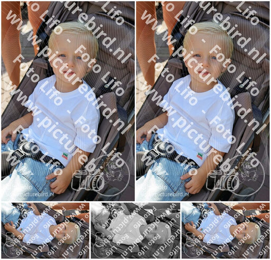 Evenement foto: 2809