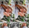 Evenement foto: MiMiddenmeer Serie 432