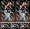 Evenement foto: 2852