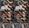 Evenement foto: 2852