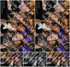 Evenement foto: 2852