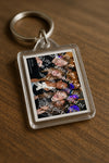 Evenement foto: 2852