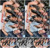 Evenement foto: 2848
