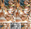 Evenement foto: 2820