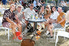 Evenement foto: 2820