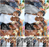 Evenement foto: 2818