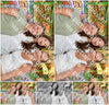 Evenement foto: 2757