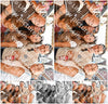 Evenement foto: 2754