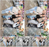 Evenement foto: 2754