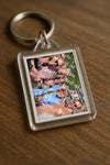Evenement foto: 2729