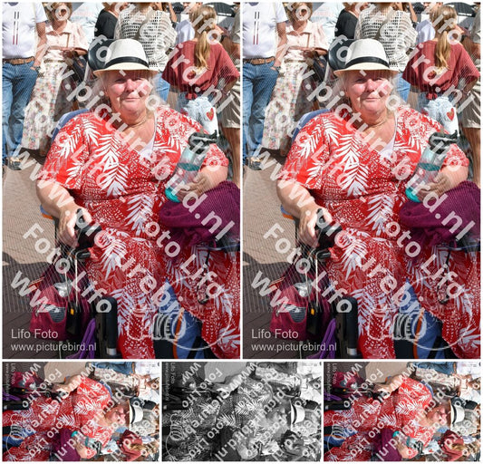 Evenement foto: 2727