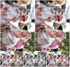 Evenement foto: 2724