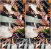 Evenement foto: 2878