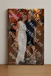 Evenement foto: 2878