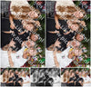 Evenement foto: 2877