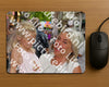 Evenement foto: 2875