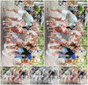 Evenement foto: 2875