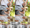 Evenement foto: 2874
