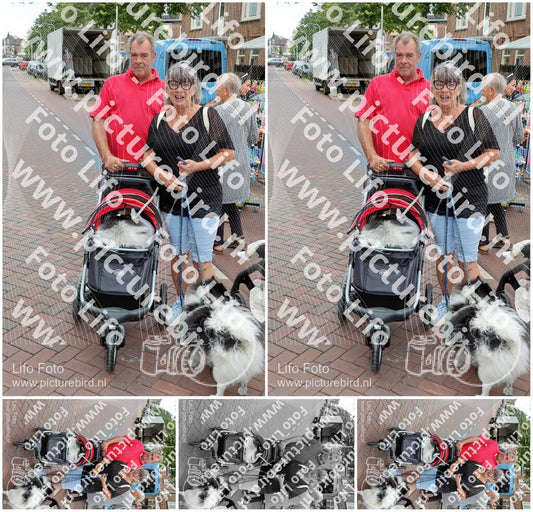 Evenement foto: 900