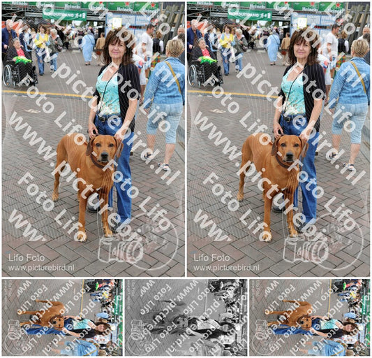 Evenement foto: 900