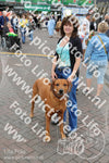 Evenement foto: 900