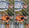 Evenement foto: Serie 900