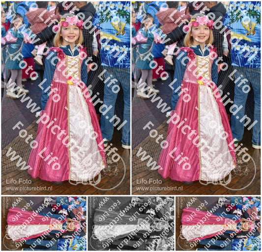 Evenement foto: delden Serie 900