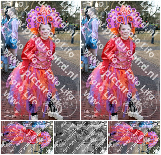 Evenement foto: delden Serie 900