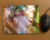 Evenement foto: 2913