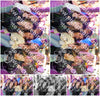 Evenement foto: 2913